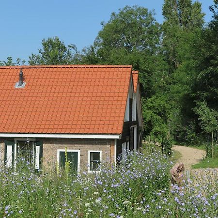 Het Kunstenaarshuis Kamperland Dış mekan fotoğraf
