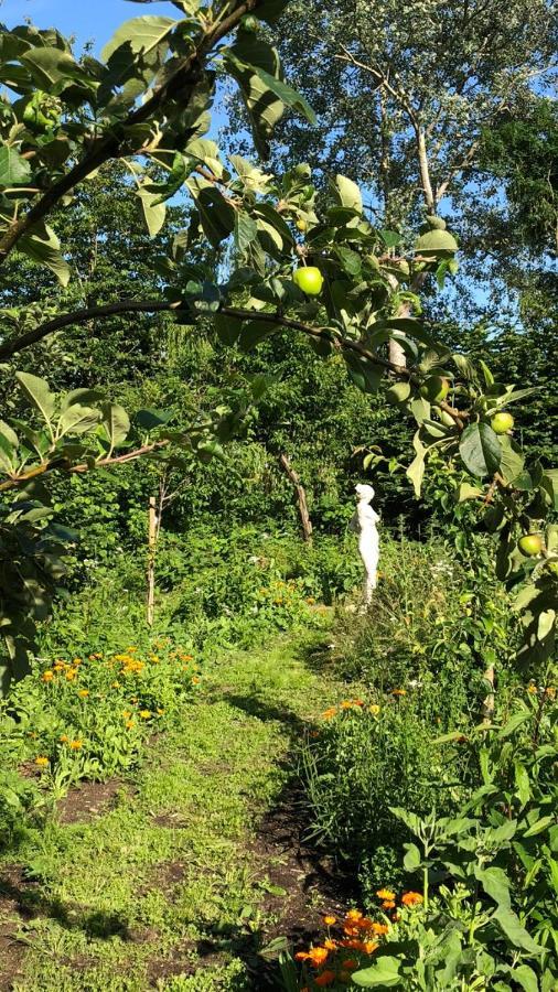 Het Kunstenaarshuis Kamperland Dış mekan fotoğraf