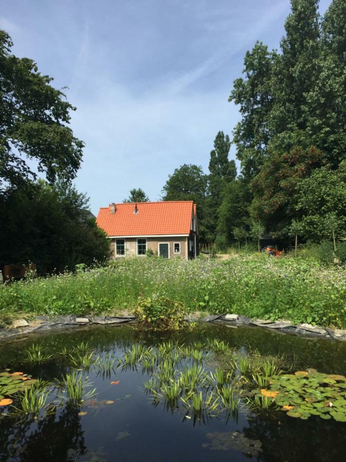 Het Kunstenaarshuis Kamperland Dış mekan fotoğraf